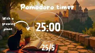 Pomodoro 25/5 Lofi | No ADS | Music for Writing & Creativity