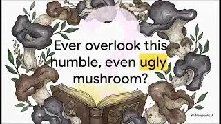 Superfoods (Part 14): Black Fungus &mdash; Gut Cleanse, &ldquo;Blood Vessel Cleaner,&rdquo; and Easy Recipes
