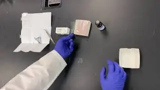 How to Mount a Fiber on a Microscope Slide