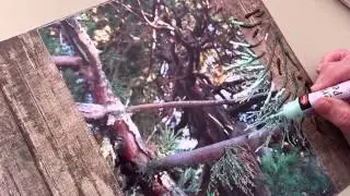 Vlog 8 scrapbooken haal je idee uit de foto