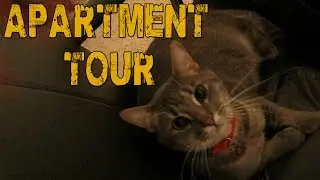 New Apartment Tour & Updated Setup! (11-26-13)