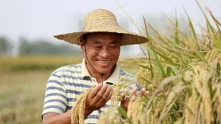 How China plants seeds of a food-secure future