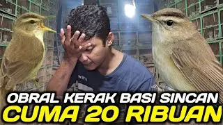 DILUAR NALAR KERAK BASI SINCAN 20 RIBU DIJUAL HABIS HABISAN HARI INI DIKIOS NASIKIN