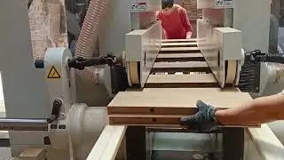 REIGNMAC woodworking machine Double end tenoner 6025M for furniture processing