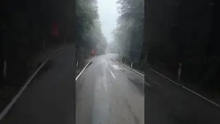 Cruise through the Lewis Pass with me!