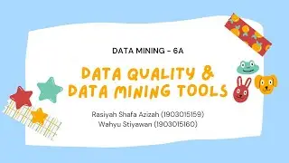 DATA QUALITY & DATA MINING TOOLS