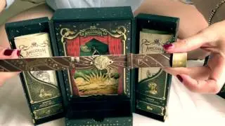 Tomorrowland 2017 Treasure Chest Bracelet Unboxing