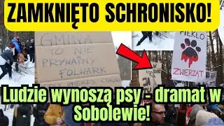 Zamknięto schronisko w SOBOLEWIE! Ludzie wynosili psy przez dziurę w płocie