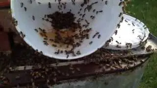Winter time feeding; open air feeding strategies