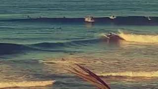 Cardiff Reef October 20