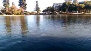 Pond of Heartwell Park, Long Beach