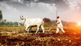 rural life of india desh mein kisan ka ek aham mahatva.🇮🇳🇮🇳🌿