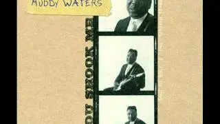 Muddy Waters - Five Long Years