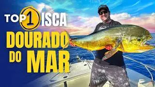 Melhor ISCA para PESCAR EM ALTO MAR | Pesca de DOURADOS, CAVALAS, ATUNS entre outros