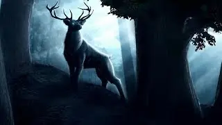RUIDOS BOSQUE la NOCHE &bull; Grillos B&uacute;hos Lluvia Viento &bull; Ruido Blanco para Relajarse Estudiar y Dormir