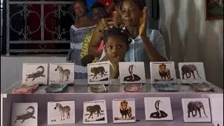 🆕🚨 THE FUNNIEST, MOST SMART & VERY ENTERTAINING WILD ANIMALS MATCHING CHALLENGE EVER  🐘 🐅 🦁 🐍 🐊 🦓
