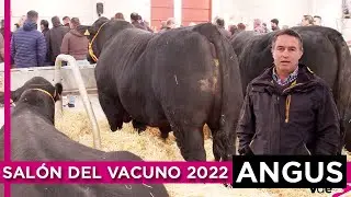 Asociación Angus España - Genética diseñada para la rentabilidad (Salón del Vacuno 2022)