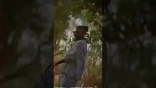 teaser for 