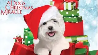 My Dog's Christmas Miracle 2011 Christmas Film | Cinnamon | Movie Review