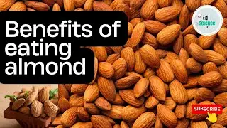 benefits of almonds (Prunus dulcis)