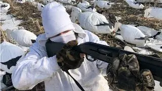 Snow Goose Hunt 2019: Thousands of Birds!