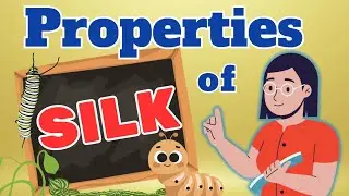 Production and properties of Silk Fibers #SilkFiber #TextileFibers #NaturalFibers #SilkProperties
