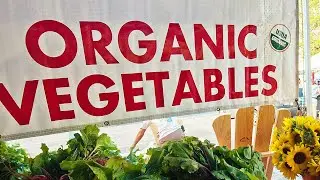 Organic and Transitional Education and Certification Program