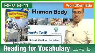 Learn English | Reading for Vocabulary | Level B | Lesson 11|  Brian Stuart  (미국교과서)