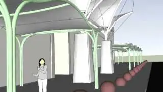 Saint Mary's Academy Tension Structures
