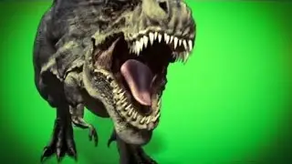 Best Green Screen Effects Free Download