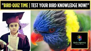 BIRDS QUIZ TIME-TEST YOUR BIRD KNOWLEDGE NOW