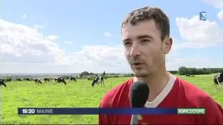 Des agriculteurs sarthois refusent la vaccination contre la fièvre catarrhale.mov