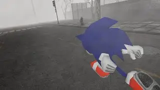 Sonic in Silent Hill Zone