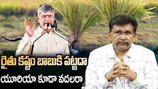 రైతు కష్టం బాబుకి పట్టదా... యూరియా కూడా వదలరా || @journalistsai2.o