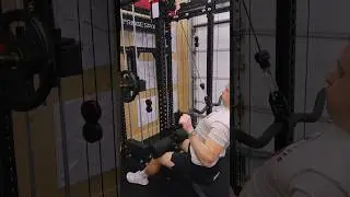 1:1 Cable Ratio, Dual 160LB Weight Stacks, El Toro Weight Loading Horns - Fringe Sport Dane 2.0