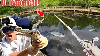 MARINA fishing for WHATEVER bites (Spotted Gar)