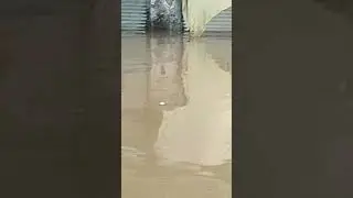#shikarpur #heavyrain #sindh