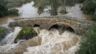 Las circunstancias meteorológicas adversas han provocado la caída de árboles y ramaje