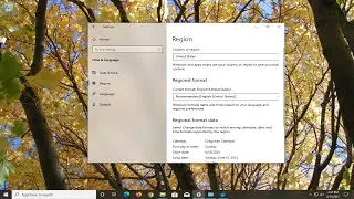 Windows 11/10 Runtime Broker: So beheben Sie den CPU-Fehler