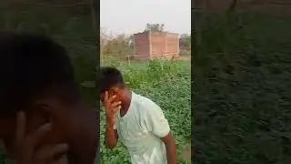 #jaha tazi hawa thanda pani | #video