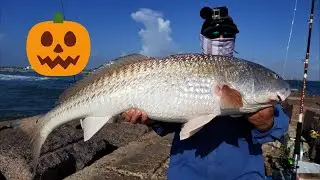 Bull Red Run Halloween 2020