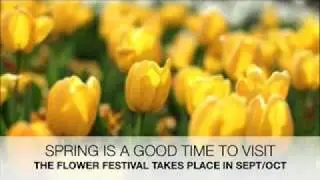 canberra tourism