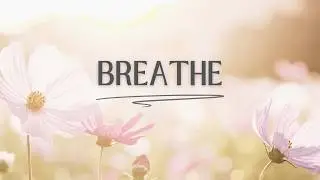 Breath: A Portal into Presence | Wisdom Quote Meditation