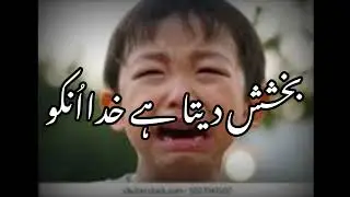 Heart Touching Status | Sad Islamic Best Lines | Afsha Official