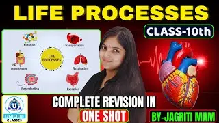 Class 10 Life Process  ONE SHOT By Jagrii Ma'am Unique Classes Prayagraj #lifeprocess #biology #yt 