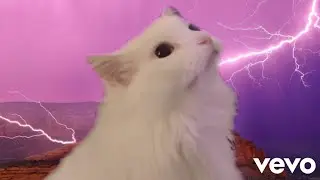 Imagine Dragons - Thunder - Cat Cover