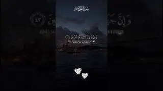 Quran recitation beautiful sound ever in world ❤️❤️❤️