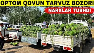 OPTOM QOVUN TARVUZ NARXLARI 2025 SEZON BOSHLANDI NARXLAR TUSHDI NAMANGAN POP CHIG’ANOQ QOVUN TARVUZ