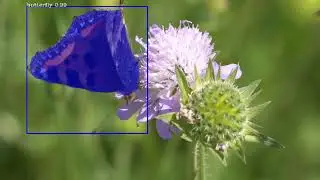Pixellib Library Instance Segmentation | Custom Dataset