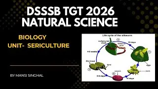 Sericulture 🦋FOR DSSSB TGT NATURAL SCIENCE #tgt#biology 